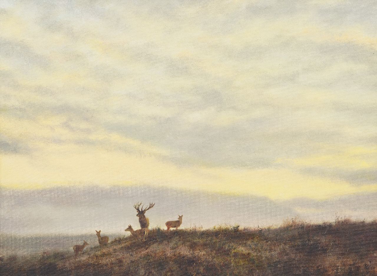 Poortvliet R.  | Rien Poortvliet | Schilderijen te koop aangeboden | Avondstemming met herten aan de horizon, olieverf op doek 60,0 x 80,0 cm
