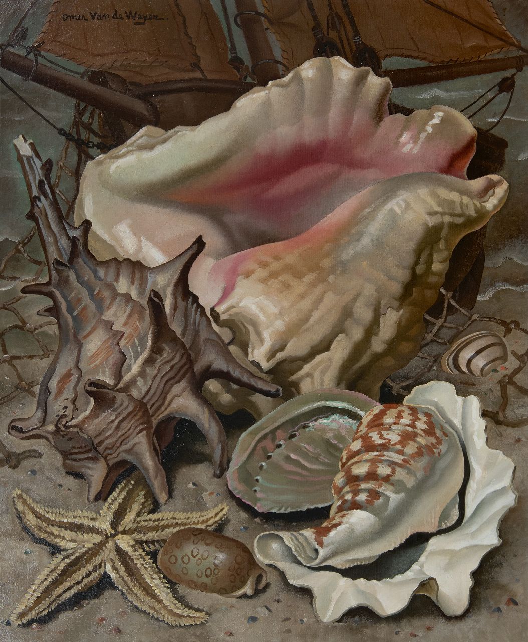 Omer van de Weyer | Stilleven met exotische schelpen, olieverf op doek, 60,2 x 50,3 cm, gesigneerd l.b.
