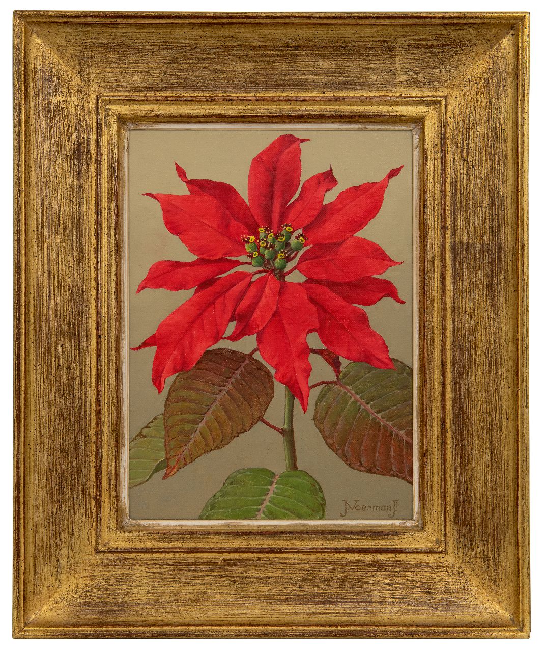 Voerman jr. J.  | Jan Voerman jr. | Schilderijen te koop aangeboden | Rode kerstster, olieverf op doek op board 22,7 x 15,8 cm, gesigneerd rechtsonder