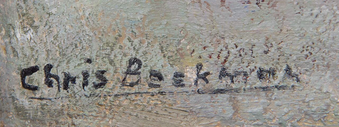 Chris Beekman signaturen Op weg naar de demonstratie