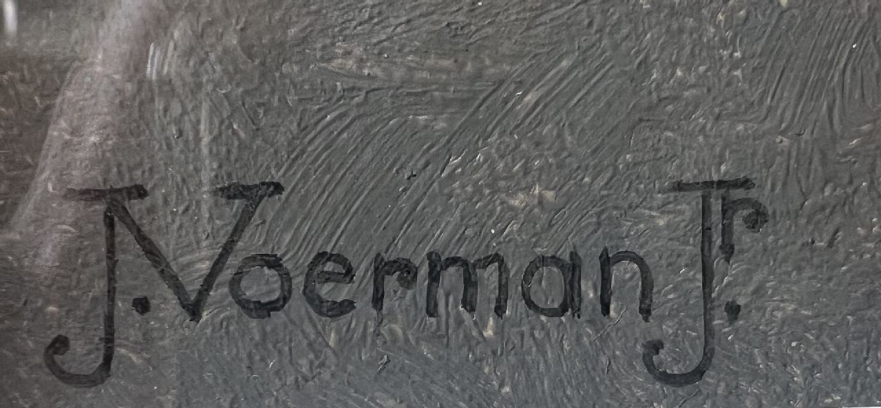 Jan Voerman jr. signaturen Bloeiende magnoliatak