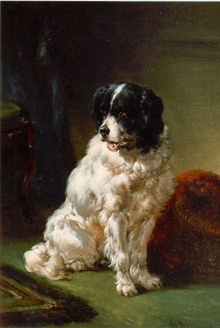 Verschuur W.  | The painter's dog, oil on panel 20.0 x 15.0 cm, signed l.r.