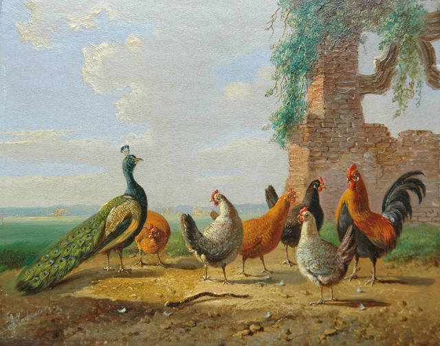 Verhoesen A.  | A peacock, cock and his fowls in a summer landscape, oil on panel 13.6 x 16.9 cm, signed l.l.