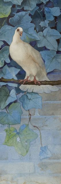 Reith B.A.J.  | Pigeon  (Daytime), watercolour on paper 66.0 x 23.0 cm, signed on the reverse