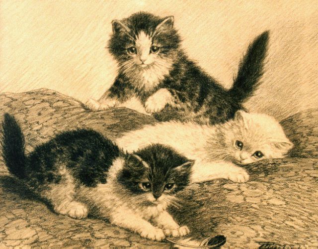 Raaphorst C.  | Three kittens playing, drawing on paper 27.5 x 34.0 cm, signed l.r.