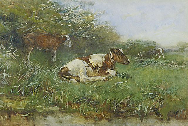 Nat W.H. van der | Calfs in a pasture, watercolour on paper 33.3 x 49.6 cm, signed l.r.