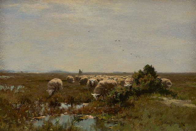 Willem Steelink jr. | Grazing sheep on the heathland, oil on canvas, 33.1 x 48.0 cm, signed l.r. and without frame