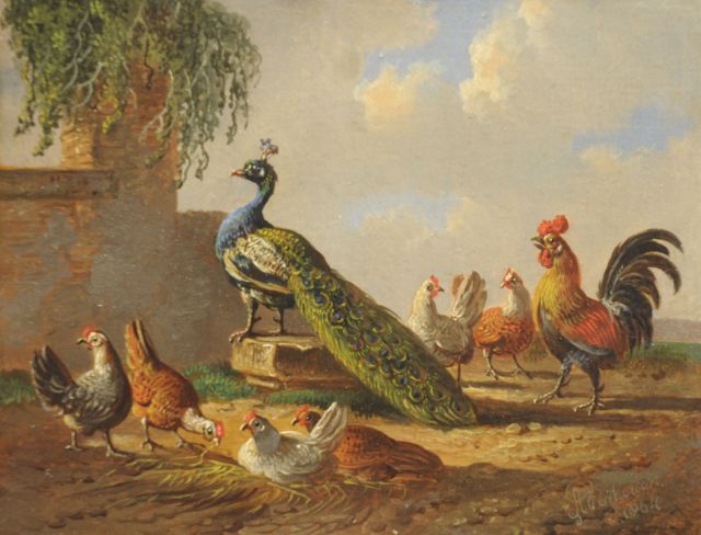 Albertus Verhoesen | Peacock among hens, oil on panel, 10.9 x 14.0 cm, signed l.r. and dated 1864