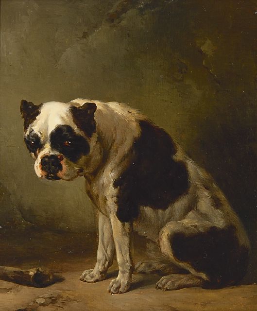 Verschuur W.  | A seated bulldog, oil on panel 24.2 x 19.6 cm