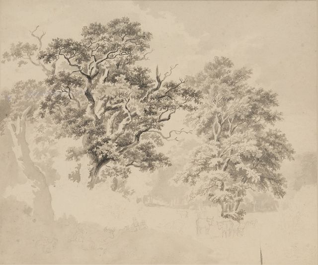 Barend Cornelis Koekkoek | A study of a tree, ink on paper, 28.5 x 32.8 cm