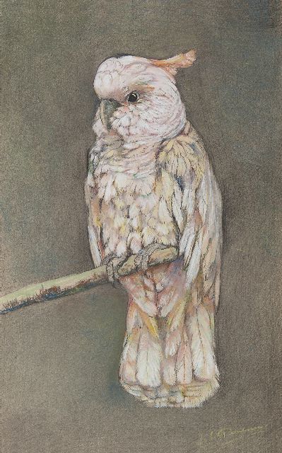Pieneman J.H.  | Cocketoo, pastel on paper 49.4 x 31.7 cm, signed l.r.