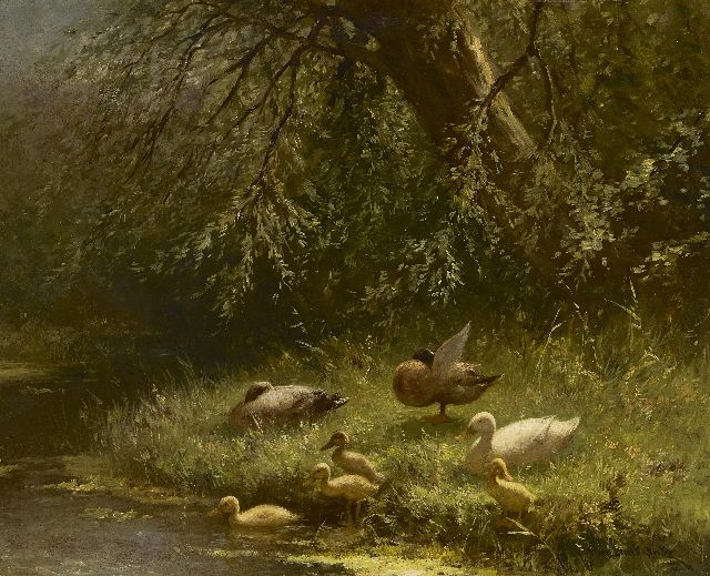 Artz C.D.L.  | Ducks near the waterfront, oil on panel 40.1 x 50.2 cm, signed l.r. and without frame