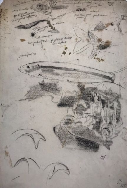 Dijsselhof G.W.  | Colour study of fishes, charcoal on paper 42.1 x 28.6 cm, signed l.r. with monogram