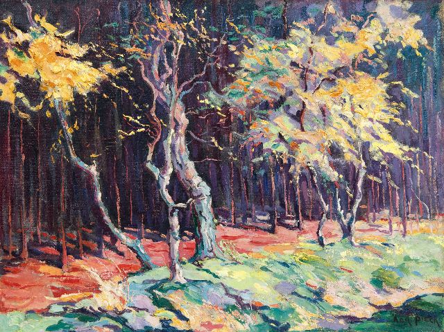 Pieck A.J.  | Sunny forest edge, oil on canvas 49.5 x 65.5 cm, signed l.r.