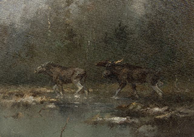 Schatz M.  | A moose pair along a river, oil on canvas 40.0 x 55.6 cm, signed l.r.