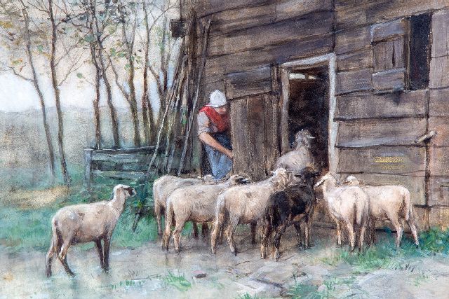 Mauve A.  | Sheep returning in their shed, watercolour on paper 33.8 x 47.2 cm, signed l.r.