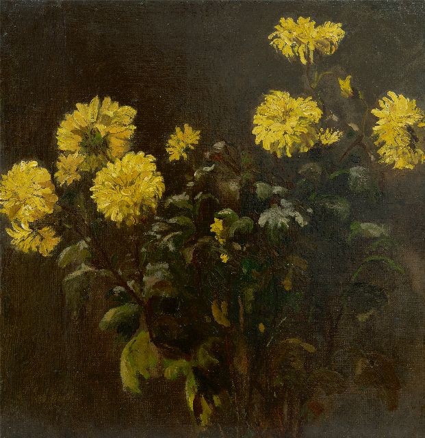 Windt Ch. van der | Chrysanthemums, oil on canvas 43.4 x 42.0 cm, signed l.l.