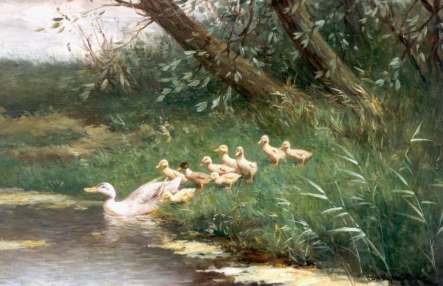 Artz C.D.L.  | A duck with ducklings watering, oil on canvas 39.7 x 60.0 cm, signed l.r.