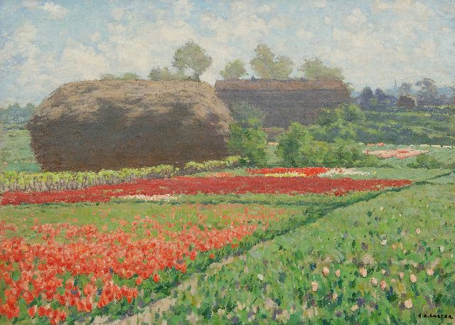 Koster A.L.  | Late tulips and a reed stack near Bennebroek, oil on canvas 50.6 x 70.5 cm, signed l.r.