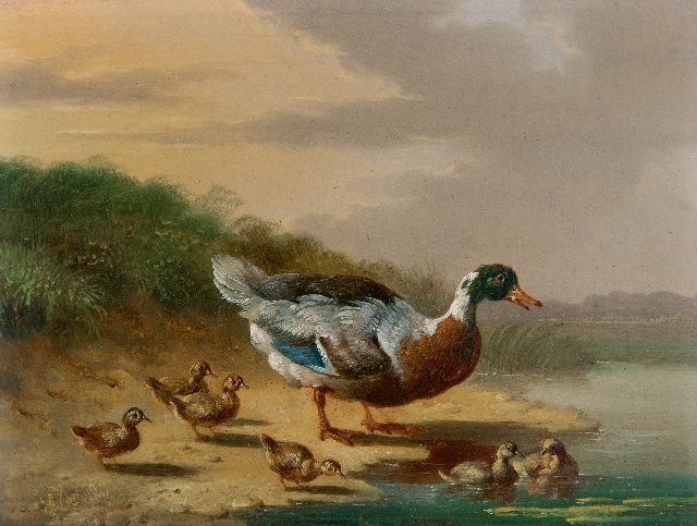 Verhoesen A.  | Duck and ducklings by the water, oil on panel 13.2 x 17.0 cm, signed l.l. and dated 1841