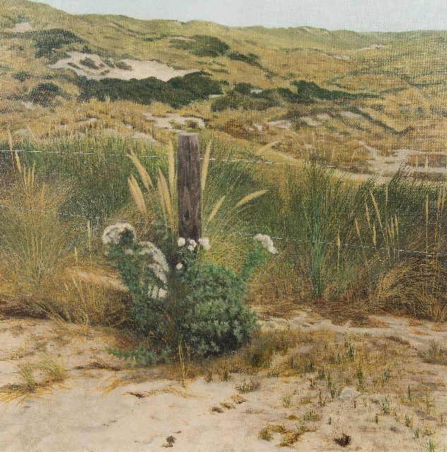 Loo P. van | Still life in the dunes (Terschelling), oil on canvas 80.1 x 80.4 cm, signed l.r. on paper in the beach grass and dated '75