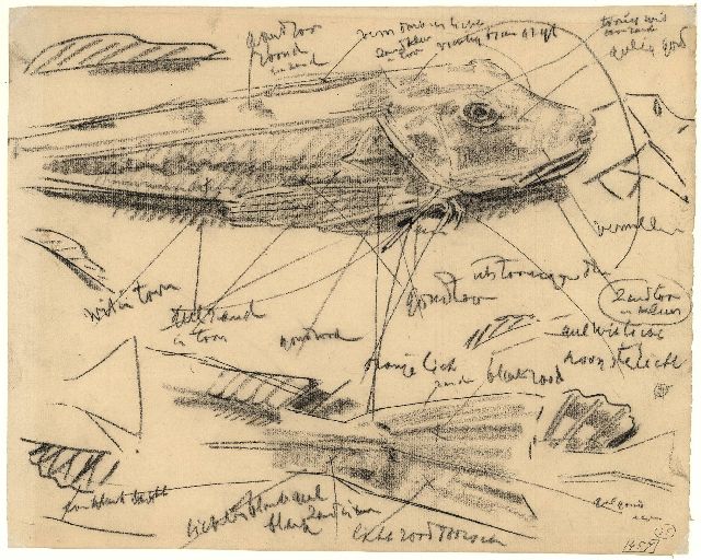 Dijsselhof G.W.  | Study of sturgeons, black chalk on paper 28.2 x 35.1 cm, signed l.l. with monogram