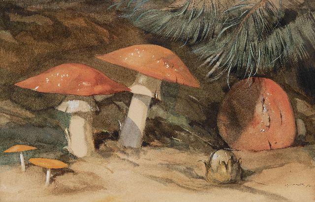 Hoff A.J. van 't | Fly agarics, watercolour on paper 35.8 x 59.2 cm, signed l.r. and dated 1923, without frame