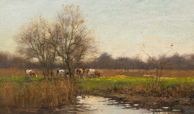Goosen F.J.  | Cows in a river landscape, oil on canvas 30.2 x 50.3 cm, signed l.l. and without frame