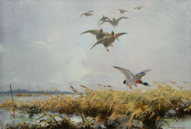 Hem P. van der | Duck flight, oil on canvas 65.8 x 96.4 cm, signed l.r.