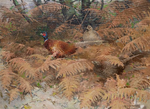 Hem P. van der | Pheasant rooster with two hens between ferns, oil on canvas 75.5 x 100.0 cm, signed l.r.