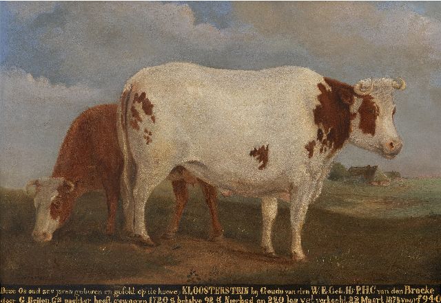 Vreedenburgh G.  | Portret van een os van hoeve Kloosterstein bij Gouda, olieverf op paneel 35,7 x 49,4 cm, gesigneerd l.o. en te dateren ca. 1875