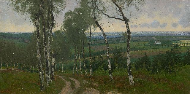 Wiggers D.  | Birch road, oil on canvas 40.8 x 80.7 cm, signed l.l. and on stretcher and dated on the reverse 1903