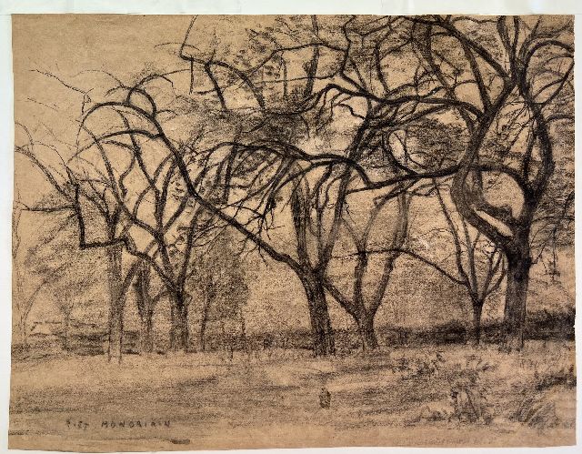 Mondriaan P.C.  | Group of trees, black chalk on paper 33.4 x 44.0 cm, signed l.l. and 1902-1905