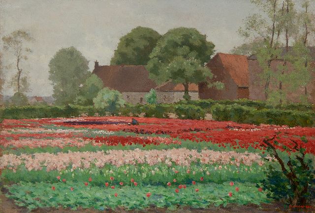 Anton Koster | Field with red and pink tulips, oil on canvas, 52.3 x 76.3 cm, signed l.r.