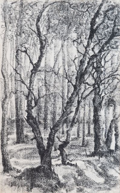 Frieda Hunziker | Boslandschap, zwart krijt op papier, 43,0 x 27,0 cm