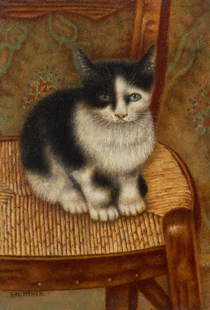 Sal Meijer | Kat op een stoel, olieverf op paneel, 32,0 x 22,2 cm, gesigneerd l.o.