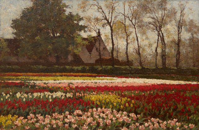 Anton Koster | Bloeiende tulpenvelden, olieverf op doek, 53,5 x 81,9 cm, gesigneerd r.o.
