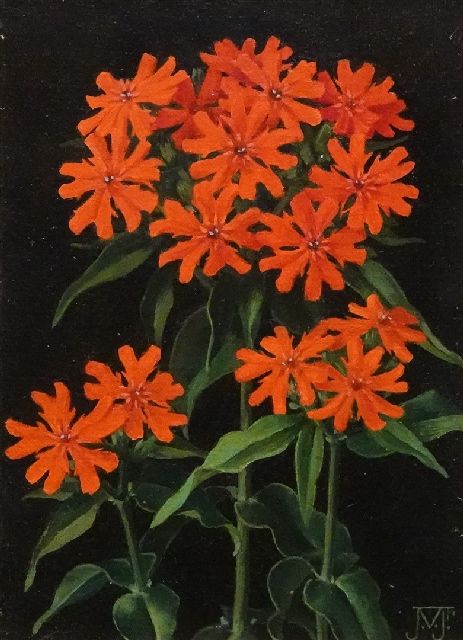 Jan Voerman jr. | Brandende liefde (lychnis chalcedonica), olieverf op doek op board, 18,0 x 13,0 cm, gesigneerd r.o. met mon