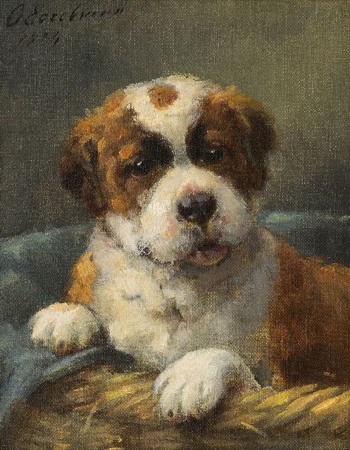 Otto Eerelman | Sint Bernard pup in z'n mandje, olieverf op schildersboard, 23,8 x 18,8 cm, gesigneerd l.b. en gedateerd 1924