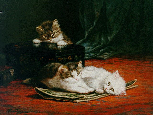 Raaphorst C.  | Kittens playing, oil on canvas 40.6 x 50.2 cm, signed l.l.