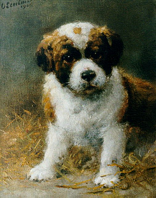Eerelman O.  | Saint-Bernard pup, oil on canvas 30.2 x 24.4 cm, signed u.l. and dated 1925