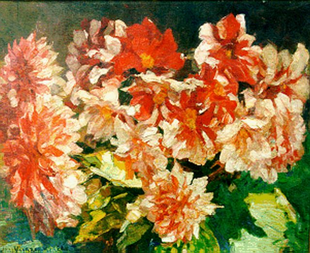 Vaarzon Morel W.F.A.I.  | A still life of dahlias, oil on canvas 54.5 x 68.5 cm, signed l.l.