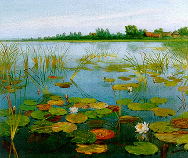 Smorenberg D.  | Water lilies, oil on canvas 50.2 x 60.3 cm, signed l.r.