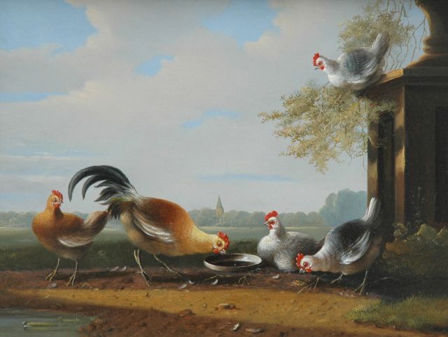 Verhoesen A.  | Chicken near a garden vase, oil on panel 24.3 x 31.3 cm, signed l.l. and painted 1850