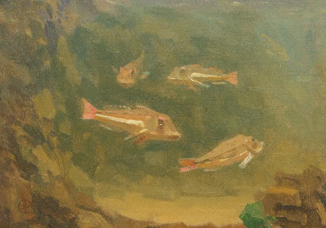 Gerrit Willem Dijsselhof | Rode ponen in een aquarium (niet te koop), olieverf op doek op paneel, 18,5 x 24,5 cm, gesigneerd l.o. met mon