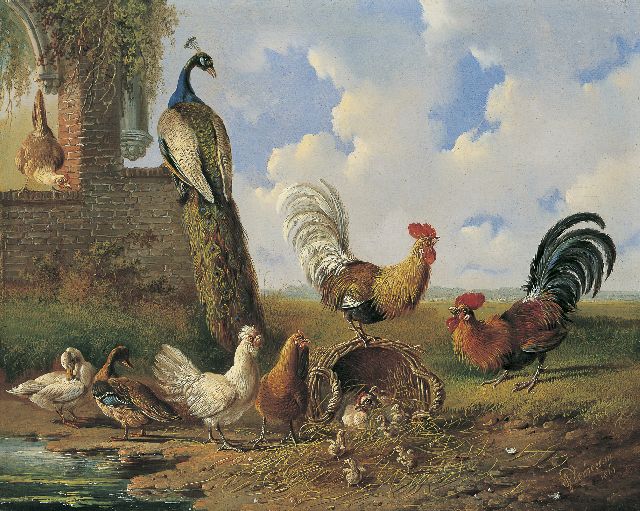 Verhoesen A.  | Poultry and a peacock near a ruin, oil on panel 30.4 x 38.3 cm, signed l.r. and dated 1861