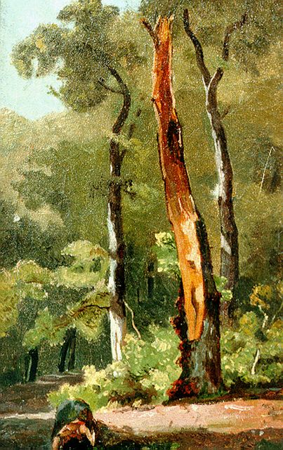 Borselen J.W. van | Study of trees, oil on canvas laid down on panel 29.1 x 18.4 cm