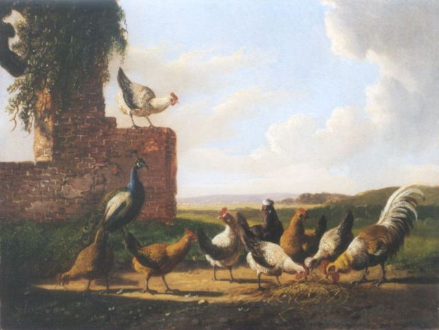 Verhoesen A.  | Poultry and a peacock by a ruin, oil on panel 18.1 x 23.8 cm, signed l.l. and dated 1874