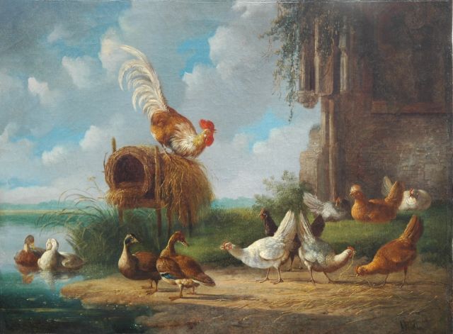 Verhoesen A.  | A rooster with chickens and ducks at the waterside, oil on canvas 34.7 x 46.5 cm, signed l.r.