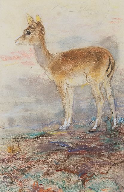 Vaarzon Morel W.F.A.I.  | A small deer, pastel on paper 27.5 x 18.5 cm, signed l.c.